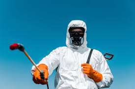 Reliable Canton, GA Pest Control Solutions